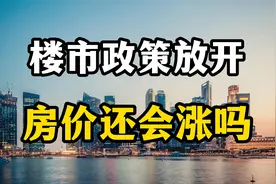 新一轮楼市松绑政策来临，会让房价再次上涨吗？房产专家全面分析视频封面