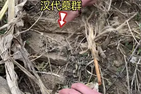 平原当中发现古墓群，墓砖散落到处都是，墓室好多暴漏在外可惜了视频封面