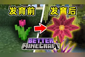 我的世界，但是花变得超大！
