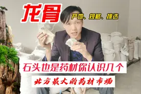 石头也是药材，你认识几个？跟药农王岩一起去看看视频封面