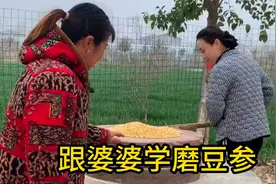从前家里穷，春天吃不起菜，就磨点豆子做成豆参！视频封面