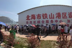 走进广西北海铁山港蔬菜产业区 看看别人大棚蔬菜种植是如何管理视频封面