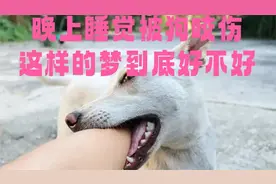 睡觉梦见被狗咬伤、这样的梦到底预示什么、如何解释这种现象视频封面