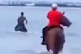 福建下海救人的两匹英雄马离世，第三匹马出现感冒症状视频封面