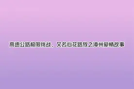 高速公路极限挑战，又名心花路放之漳州爱情故事【转载】视频封面