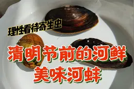 大蒜辣椒5种材料没泡出水蛭，该吃吃，清明节前河蚌干净无寄生虫视频封面