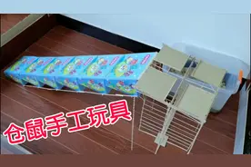 手工制作仓鼠玩具，高难度，一般仓鼠是玩不来的。