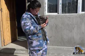 圈养的狼没野性？新疆大姐用人类的方式哺育小狼，长大后会像狼吗