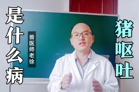 猪呕吐是一个大麻烦，找准原因才行，知道什么原因造成的吗？视频封面