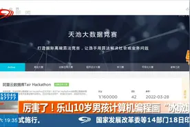 厉害了！乐山10岁男孩计算机编程画“冰墩墩”视频封面