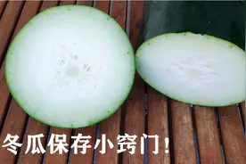 冬瓜成熟的标志，何时采摘和如何保存冬瓜？夏天生长为何叫做冬瓜视频封面