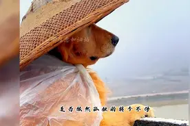 你没见过的那些沙雕合集之“轻轻敲碎沉睡的心灵”视频封面