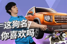 哈弗大狗又征名？为什么不叫泰迪？【谈笑丰声】视频封面