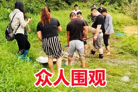 江西农村的有趣事件，数万尾鱼被冲下水沟，村民围观哄抢真过瘾视频封面