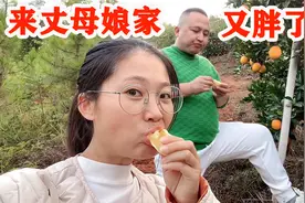娘家脐橙季，拉182斤胖老公，干活免费减肥，这体重能干啥？视频封面