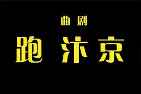 曲剧《跑汴京》刘艳丽 项英[高清版]视频封面