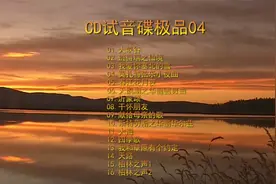 CD试音碟极品04视频封面