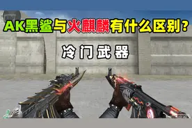 【CF趣味实验】AK47黑鲨与火麒麟有什么区别？视频封面