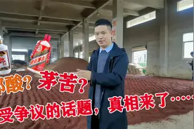 同样是飞天茅台，为什么2011年茅台带有苦味，四川郎酒带有酸味？视频封面