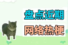 盘点近期网络热梗：手机里一定有款XX游戏、Oiiaioooooiai