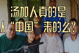 汤加人真的是从“中国”来的么？视频封面