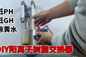 DIY一个阳离子树脂交换器，有效降低鱼缸PH和GH，还能解决黄水视频封面