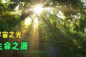 光是生命之源，光是我们生活中不可或缺的一部分视频封面