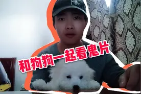 带着狗狗一起看恐怖片，看它会不会害怕？