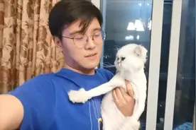 当你的猫被剃毛后，另一只猫六亲不认了视频封面