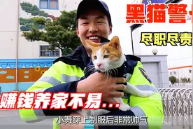 流浪猫成为黑猫警长，还在警局生下一窝小猫，结果全家被成功收编视频封面