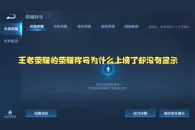 王者荣耀的荣耀称号为什么上榜了却没有显示