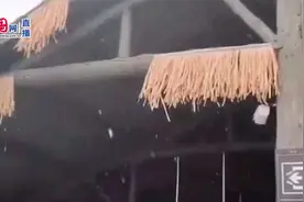 下雪了！陕西这里已迎来降雪…未来几日多地迎中雨大雨视频封面