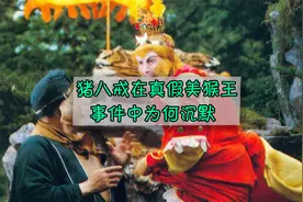 猪八戒在真假美猴王事件中为何沉默？视频封面