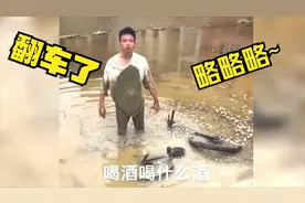 爆笑合集；怪你过分好看让我入迷视频封面