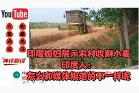 印度媳妇展示中国农村收割小麦，印度人：怎么和媒体报道的不一样视频封面