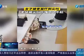 到底谁怕谁？女子遇老鼠吓得尖叫，超高分贝把老鼠“吓晕”视频封面