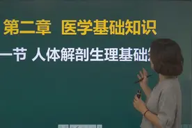 12人体解剖生理基础知识.mp4视频封面
