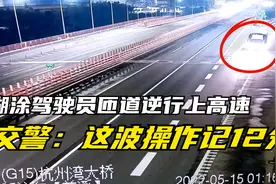 糊涂驾驶员匝道逆行上高速，交警：这波操作记12分视频封面