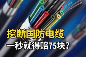 挖断国防电缆，一秒就得赔75元？视频封面