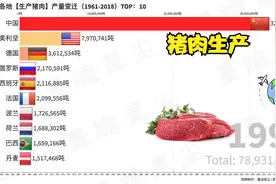 世界各地生产猪肉排名，一眼就能看成猪肉的餐桌地位视频封面