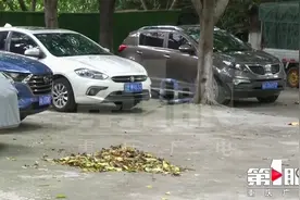绿化地被改成停车场 引发小区业主争议视频封面