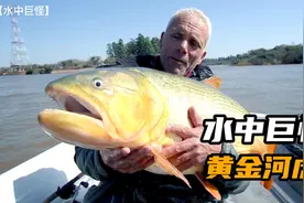 河内巨兽：黄金河虎，超级闪电撕裂者视频封面