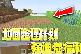 我的世界：1.14生存9，地面整理完成，强迫症福利！