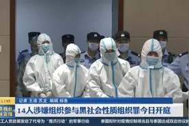 西安市雁塔区14人涉黑案今日开庭审理视频封面