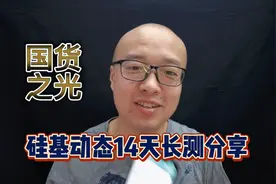 硅基动态血糖仪，蓝牙连接手机，免扎手，14天长测后分享优缺点视频封面