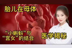 医学演绎 揭秘人体婴儿是如何形成 从小蝌蚪到婴儿人类诞生全过程