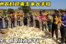 小伙教非洲农民种植玉米，学习后产量暴增十倍，村民们个个乐开花视频封面