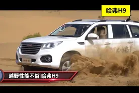 预算最多30万 哈弗H9还值不值得购买？视频封面