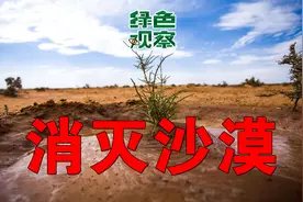 中国人“消灭沙漠”奇迹背后的两个故事视频封面