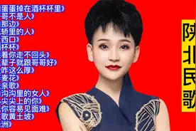 马美如/刘妍/王二妮陕北民歌精选16首联唱视频封面